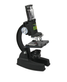 8d26eb74-cf36-11ef-9d2e-000c29e1040d